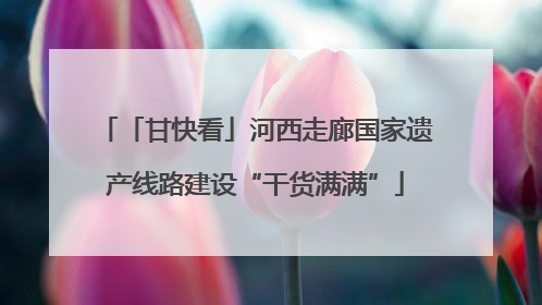 「甘快看」河西走廊国家遗产线路建设“干货满满”