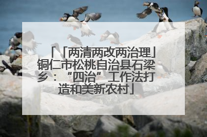 「两清两改两治理」铜仁市松桃自治县石梁乡：“四治”工作法打造和美新农村