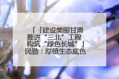 「建设美丽甘肃 推进“三北”工程 构筑“绿色长城”」民勤：厚植生态底色 筑牢绿色屏障