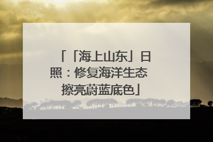 「海上山东」日照：修复海洋生态 擦亮蔚蓝底色