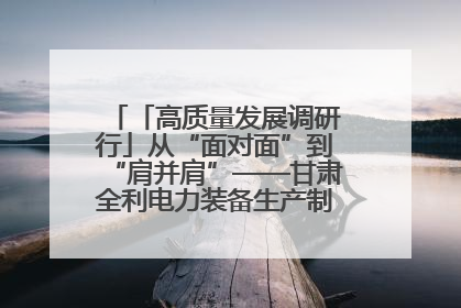 「高质量发展调研行」从“面对面”到“肩并肩”——甘肃全利电力装备生产制造项目一线见闻