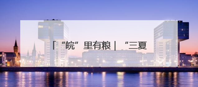 “皖”里有粮｜“三夏”时节，一“皖”麦香