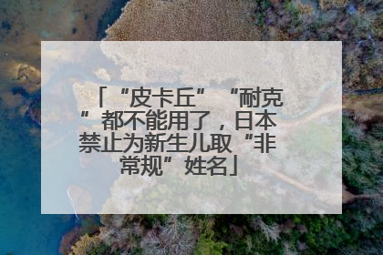 “皮卡丘”“耐克”都不能用了，日本禁止为新生儿取“非常规”姓名