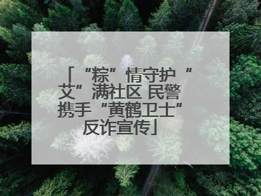 “粽”情守护“艾”满社区 民警携手“黄鹤卫士”反诈宣传