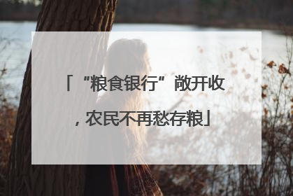 “粮食银行”敞开收，农民不再愁存粮