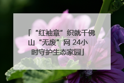 “红袖章”织就千佛山“无废”网 24小时守护生态家园