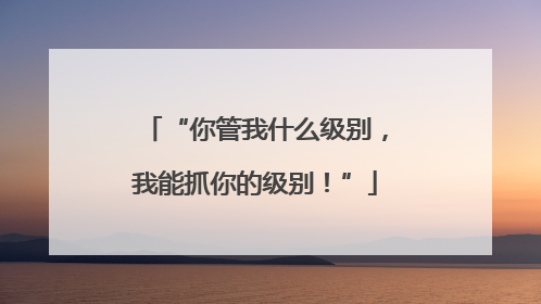 “你管我什么级别，我能抓你的级别！”