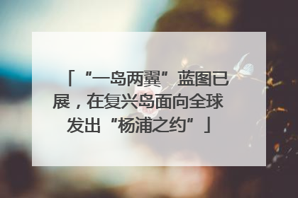 “一岛两翼”蓝图已展，在复兴岛面向全球发出“杨浦之约”
