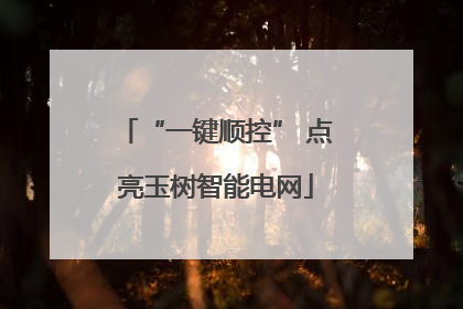 “一键顺控” 点亮玉树智能电网