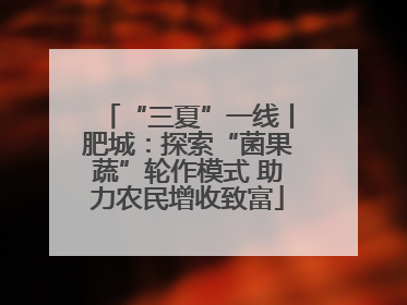“三夏”一线丨肥城：探索“菌果蔬”轮作模式 助力农民增收致富