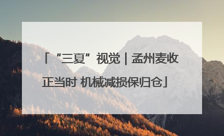 “三夏”视觉｜孟州麦收正当时 机械减损保归仓