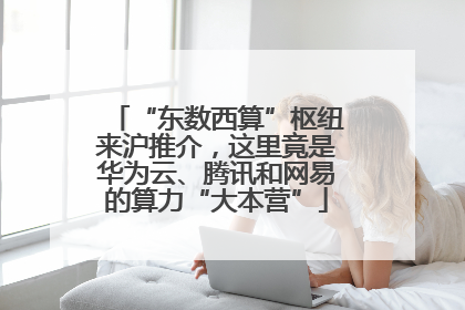 “东数西算”枢纽来沪推介，这里竟是华为云、腾讯和网易的算力“大本营”