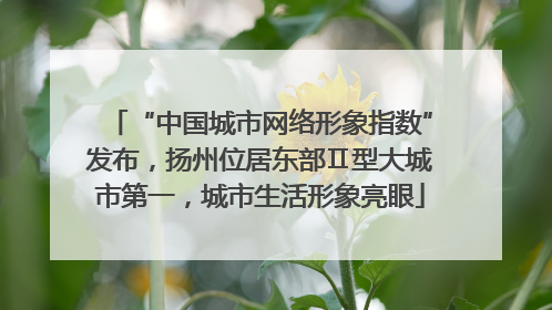 “中国城市网络形象指数”发布，扬州位居东部Ⅱ型大城市第一，城市生活形象亮眼