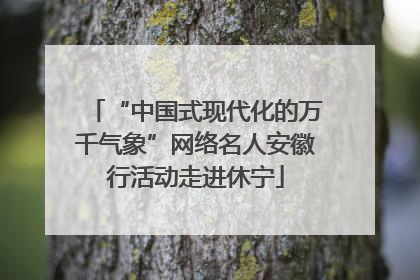“中国式现代化的万千气象”网络名人安徽行活动走进休宁