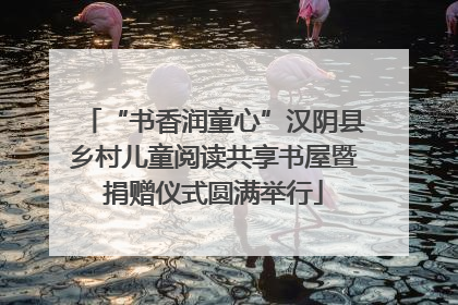 “书香润童心”汉阴县乡村儿童阅读共享书屋暨捐赠仪式圆满举行