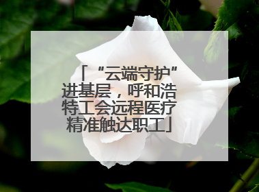 “云端守护”进基层，呼和浩特工会远程医疗精准触达职工