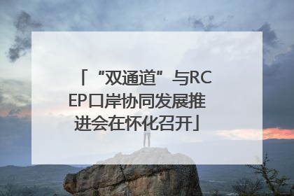 “双通道”与RCEP口岸协同发展推进会在怀化召开