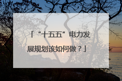 “十五五”电力发展规划该如何做？