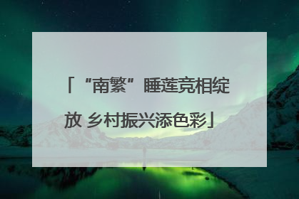 “南繁”睡莲竞相绽放 乡村振兴添色彩