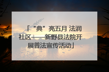 “典”亮五月 法润社区——新野县法院开展普法宣传活动