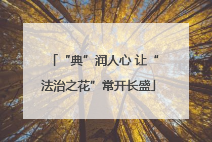 “典”润人心 让“法治之花”常开长盛