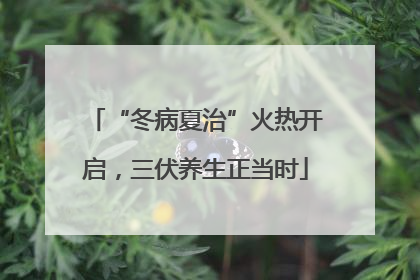 “冬病夏治”火热开启，三伏养生正当时