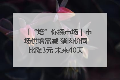 “培”你探市场｜市场供增需减 猪肉价同比降3元 未来40天便宜猪肉敞开吃