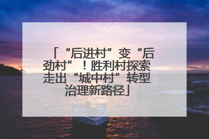 “后进村”变“后劲村”！胜利村探索走出“城中村”转型治理新路径