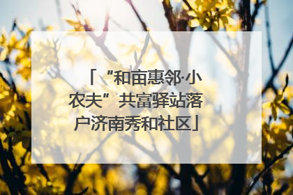“和亩惠邻·小农夫”共富驿站落户济南秀和社区