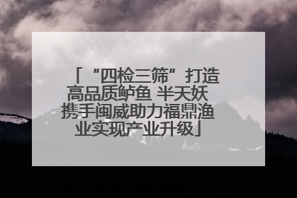 “四检三筛”打造高品质鲈鱼 半天妖携手闽威助力福鼎渔业实现产业升级