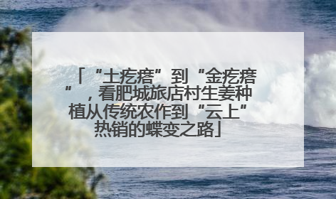 “土疙瘩”到“金疙瘩”，看肥城旅店村生姜种植从传统农作到“云上”热销的蝶变之路
