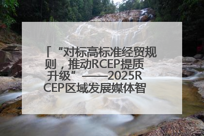 “对标高标准经贸规则，推动RCEP提质升级”——2025RCEP区域发展媒体智库论坛举行专题对话