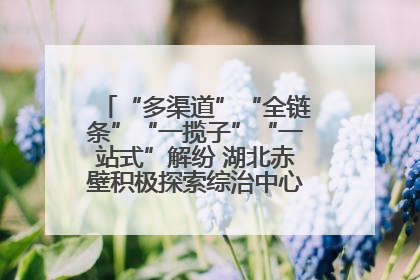 “多渠道”“全链条”“一揽子”“一站式”解纷 湖北赤壁积极探索综治中心规范化建设新路子