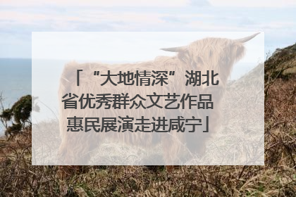 “大地情深”湖北省优秀群众文艺作品惠民展演走进咸宁