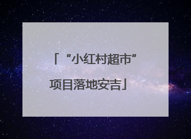 “小红村超市”项目落地安吉