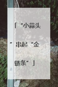 “小蒜头”串起“金链条”