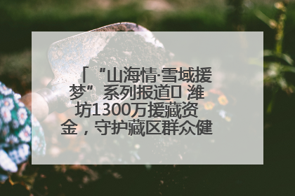 “山海情·雪域援梦”系列报道⑪ 潍坊1300万援藏资金，守护藏区群众健康“最后一公里”