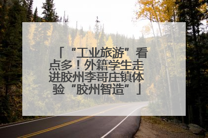 “工业旅游”看点多！外籍学生走进胶州李哥庄镇体验“胶州智造”