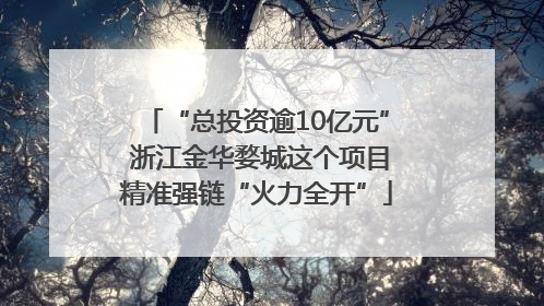 “总投资逾10亿元” 浙江金华婺城这个项目精准强链“火力全开”