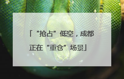 “抢占”低空，成都正在“重仓”场景