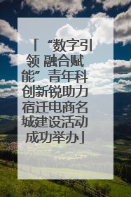 “数字引领 融合赋能”青年科创新锐助力宿迁电商名城建设活动成功举办