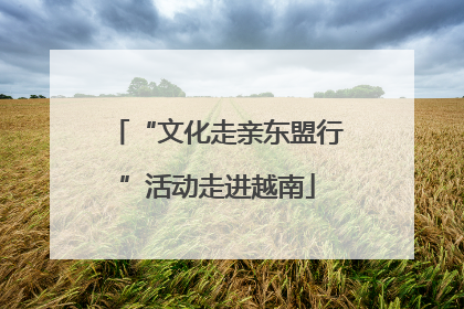 “文化走亲东盟行”活动走进越南