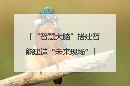 “智慧大脑”搭建智能建造“未来现场”