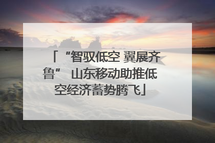 “智驭低空 翼展齐鲁” 山东移动助推低空经济蓄势腾飞
