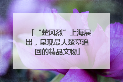 “楚风烈”上海展出，呈现最大楚墓追回的精品文物