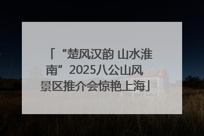 “楚风汉韵 山水淮南”2025八公山风景区推介会惊艳上海