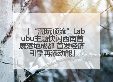 “潮玩顶流”Labubu主题快闪西南首展落地成都 首发经济引擎再添动能