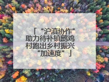 “沪滇协作”助力待补镇鹧鸡村跑出乡村振兴“加速度”