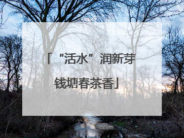 “活水”润新芽 钱塘春茶香