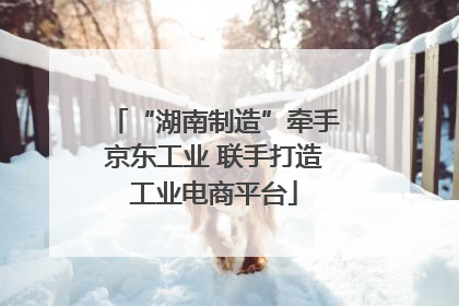 “湖南制造”牵手京东工业 联手打造工业电商平台